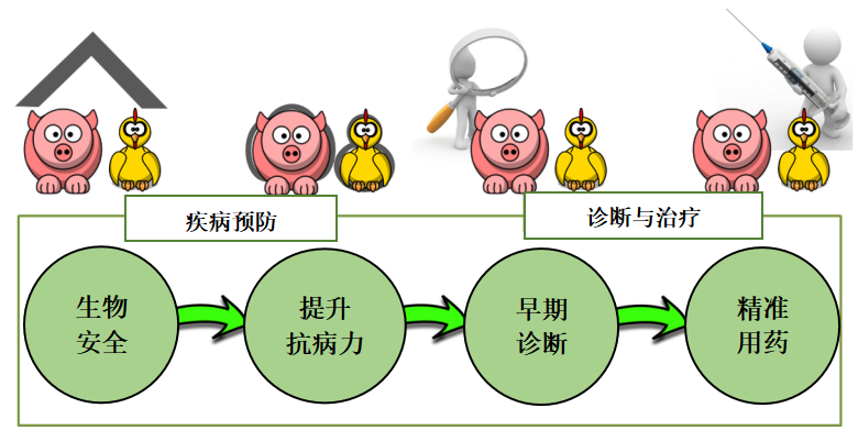 四个策略中文版.png
